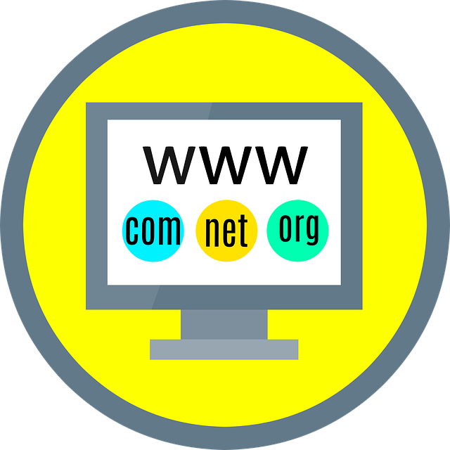 Zero Budget Website - Domain Name